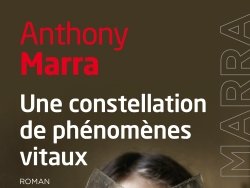 Une constellation de phénomènes vitaux
