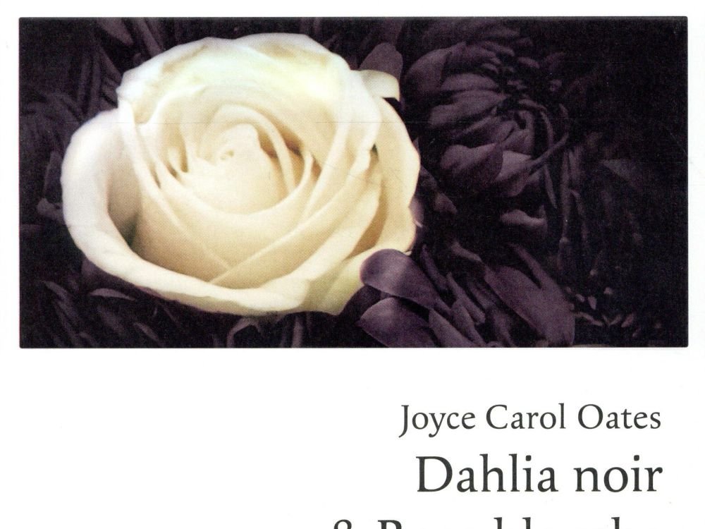 Dahlia noir et rose blanche