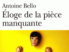 Eloge de la pièce manquante 