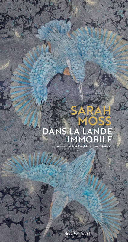 couverture de Dans la lande immobile de Sarah Moss